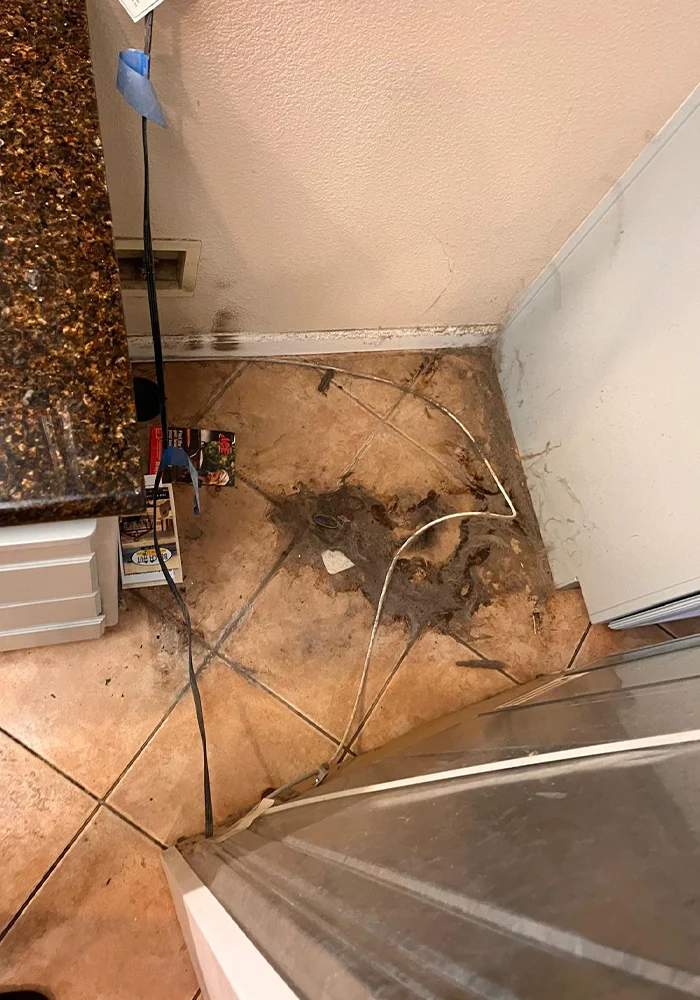 bay-cleaning-portfolio-march-05