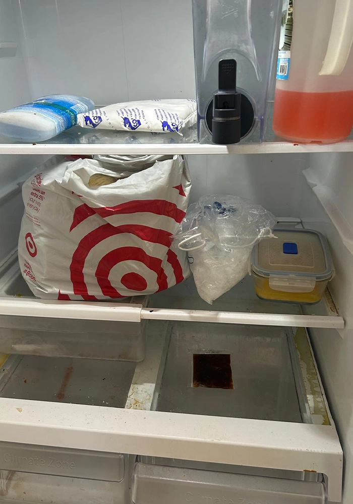 bay-cleaning-portfolio-march-19